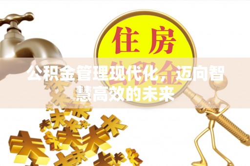 北区公积金管理现代化，迈向智慧高效的未来