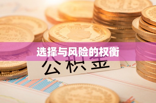 北区选择与风险的权衡