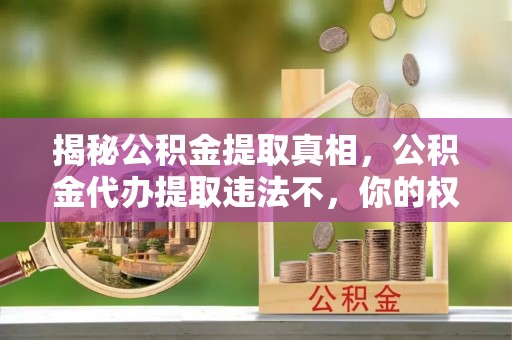 北区揭秘公积金提取真相，公积金代办提取违法不，你的权益如何保障？