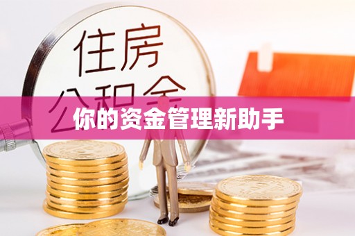 北区你的资金管理新助手