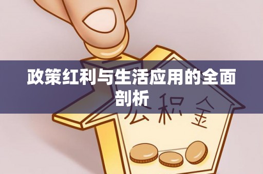 北区政策红利与生活应用的全面剖析