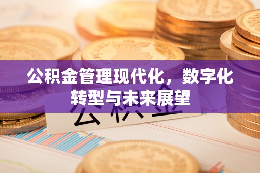 北区公积金管理现代化，数字化转型与未来展望