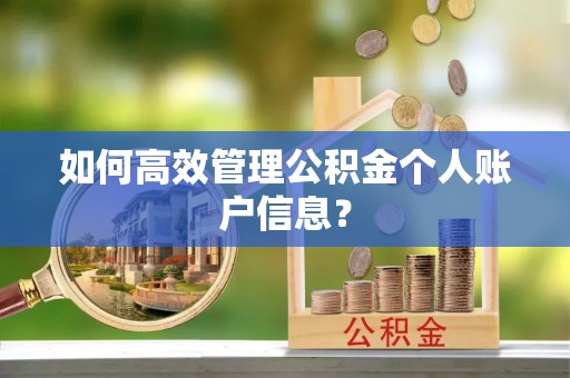 北区如何高效管理公积金个人账户信息？