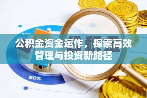北区公积金资金运作，探索高效管理与投资新路径