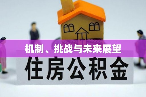 北区机制、挑战与未来展望